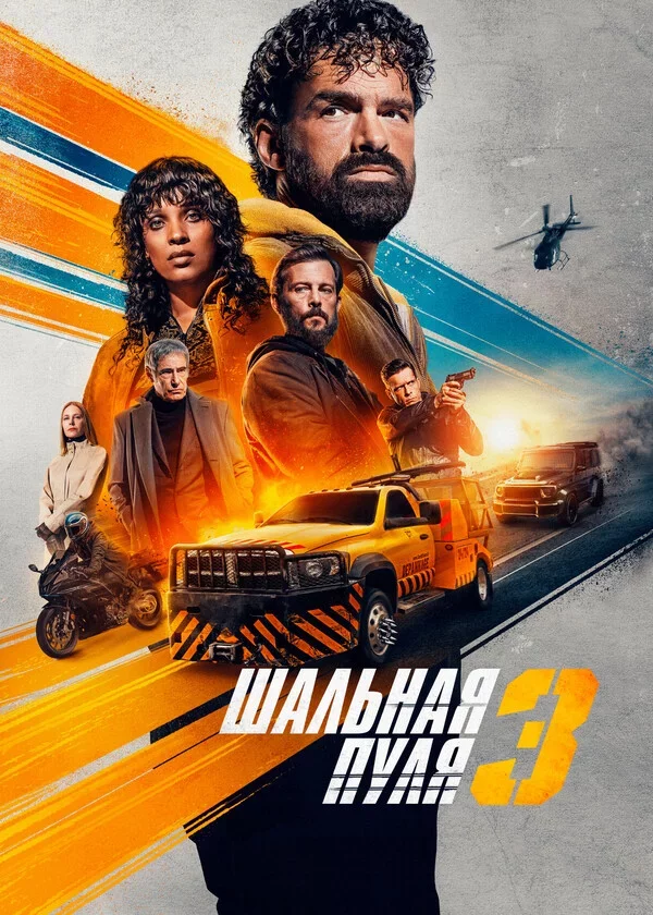 Шальная пуля 3